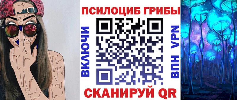 Псилоцибиновые грибы Psilocybine cubensis  Адыгейск 